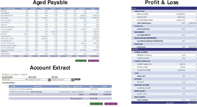 Aged Payables, Profit & Loss