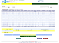 Daily Sales Report